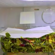 Keep Lettuce Fresh for Two Weeks with Simple Kitchen Paper Trick
