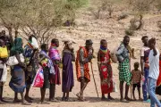 Kenya's Drought Crisis: Millions Face Hunger as Livestock Perish