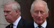 King Charles' 'Extraordinary' Move on Brother Andrew Deemed 'Overdue' by Experts