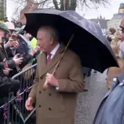 King Charles Faces Epstein Scandal Question During Public Walkabout in Dedham