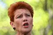 Labor MP Warns Liberals Against Chasing One Nation Down Racist Rabbit Hole