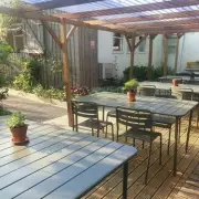 London's Secret Cat Cafe: Pet Felines for Free at Stepney's Farm Cafe