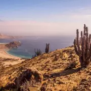 Major 6.2 Magnitude Earthquake Strikes Central Chile, Biggest in Seven Years