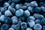 Major Frozen Blueberry Recall Across US and Canada Over Listeria Contamination Fears