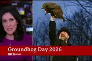 Maryam Moshiri's Groundhog Day BBC News Report Goes Viral Again