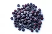 Massive Frozen Blueberry Recall Over Listeria Contamination Risk