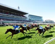 MPs Accept Free Sports Tickets from Gambling Firms Amid Reform Calls