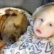 Mum Outraged as Police Return XL Bully Ashes in Tonic Water Box