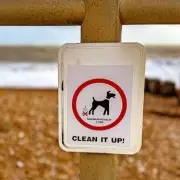 Neighbour's Passive-Aggressive Sign Shames Dog Owners Over Poo in Communal Garden