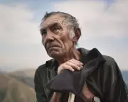 Neo-Rural Cinema: How European Films Explore Modern Countryside Conflicts