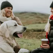 New Dog Laws Bring Unlimited Fines and Prison for Owners from March 2026