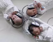 Newborns Anticipate Musical Rhythm, Revealing a Fundamental Human Trait