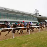 Newsboy's Racing Tips: Akrivos Tipped for Wolverhampton Victory