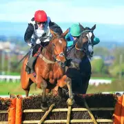 Newsboy's Racing Tips: Wolfburg Nap at Carlisle, Keppel Queen Next Best