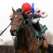 Newsboy's Saturday Racing Tips: Hot Fuss to Shine at Kelso