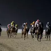 Newsboy's Thursday Racing Tips: Hatysa and Lord Capulet Eye Hat-Tricks