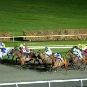 Newsboy's Wednesday Racing Tips: Ablon Tipped for Kempton Nap