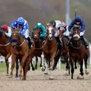 Newsboy's Wednesday Racing Tips: Teardrops Nap at Newcastle, Court of Session NB at Kempton