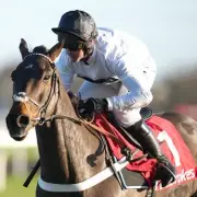 Nicky Henderson Ends Speculation: Constitution Hill Withdrawn from Cheltenham 2026