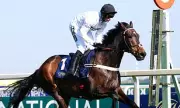 Nicky Henderson Faces Career-Defining Decision Over Constitution Hill's Future