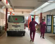 Nigeria's Healthcare Crisis: Snakebite Death Exposes Systemic Collapse