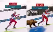 Norwegian Skier's Uphill Sprint Goes Viral, Stuns Olympics Viewers Worldwide
