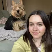 Norwich Terrier: Britain's Rare, Family-Friendly Canine Gem