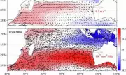 Ocean Salinity Crisis: Gulf Stream Collapse Fears as Key Region Loses 60% Salt