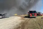 Ohio Farm Fire Kills 6,000 Pigs as High Winds Fuel Blaze