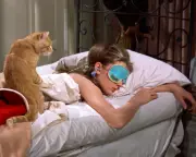 Orangey: The Legendary Feline Star Who Won Hollywood's Top Animal Award Twice