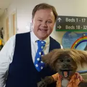 Parents Ban 'Whingey' CBeebies Show Bing Over Irritating Bunny Character