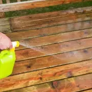 Patio Magic Moss Cleaner Drops to Under £5 in B&Q Deal via TopCashback