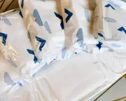 Period Blood Test Could Revolutionise Cervical Cancer Screening at Home