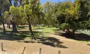 Perth's Blackboy Park Renamed Koolyanga Park After Six-Year Debate
