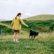 Pet Owners Face Major Law Changes: Unlimited Fines and Prison Time