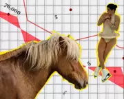 Political Donations Surge Amid Figure Skating Controversy and Year of the Horse