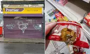 Portsmouth Shop Shut Over 'Worst Ever' Mouse Infestation Found by Inspectors