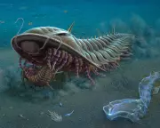 Prehistoric Kangaroo Island Fossils Inspire New Australian Stamp Series