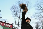 Punxsutawney Phil Predicts Six More Weeks of Winter in Annual Groundhog Day Ritual