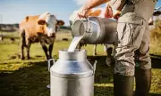 Raw Milk Trend Sparks Health Warnings After Newborn Death in US