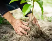 Readers Propose Diverse Ways to Spend a Billion Dollars for Social Good