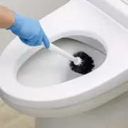 Reddit Debate: How Often Should You Replace Your Toilet Brush?