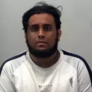 Rehoming Centre Horror: Dogs Roamed Among Carcasses, 41 Pets Found Dead