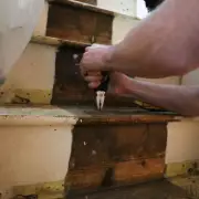 Renovator Discovers 1901 Newspaper and Engagement Ring in Victorian Cottage