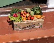 Riverford's Sales Surge as UK Organic Market Booms