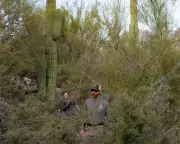 Savannah Guthrie's Mother Nancy Reported Missing in Arizona Search