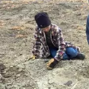 Schoolboy's 48-Million-Year-Old Fossil Discovery Stuns Palaeontologists