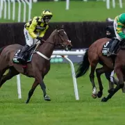 Sir Gino Faces Infection Battle After Pelvic Fracture, Cheltenham Hopes Dashed