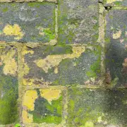 ‘Spray and Walk Away’ Patio Cleaner Eliminates Stains in 24 Hours Without Scrubbing