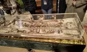St Francis of Assisi's Bones Displayed After 800-Year Saga in Historic Exhibition